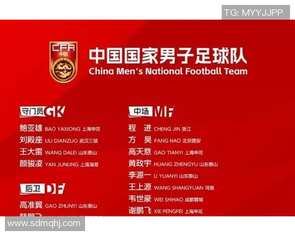 全球现役足球明星全名单及其代表国家解析 全球现役足球明星全名单及其代表国家解析