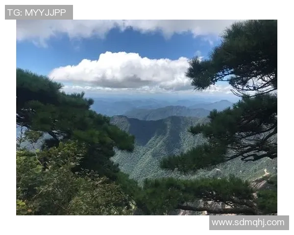 赛后分析：杭州羽毛球队与南京羽毛球队的战术意识与表现对比